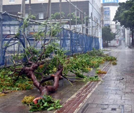日本成秋台风“头号目标”？这波是“地理+天气”的双重针对