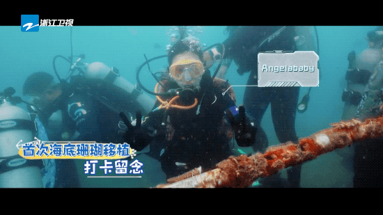 《奔跑吧9》开启“夏日消暑”之旅 保护海洋生态