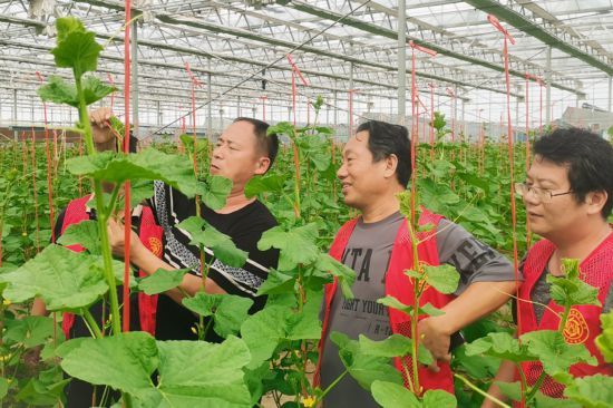 跟着总书记看中国｜新发地：托稳首都“菜篮子” 打造新消费活力之地