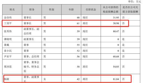 海伦哲美女总经理带头财务造假 “女神”背后的虚伪面具