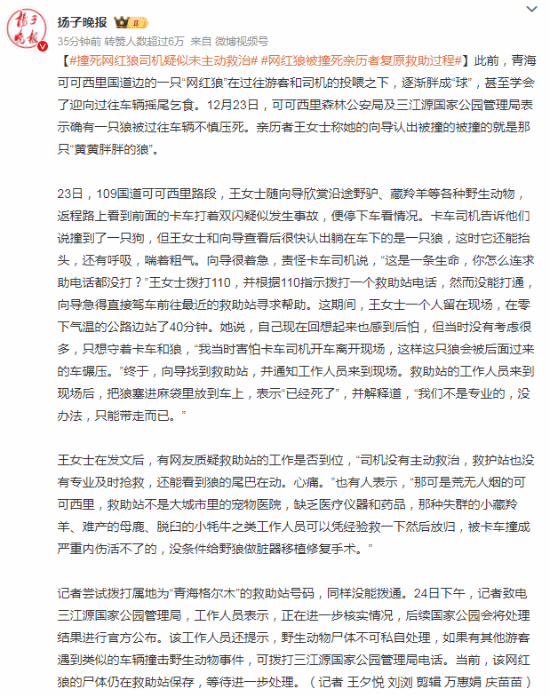 撞死网红狼司机疑未主动救治 引发网友热议