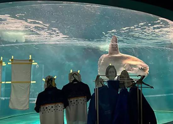 日本水族館翻車(chē)魚(yú)因沒(méi)游客自閉 孤獨(dú)引發(fā)活力下降