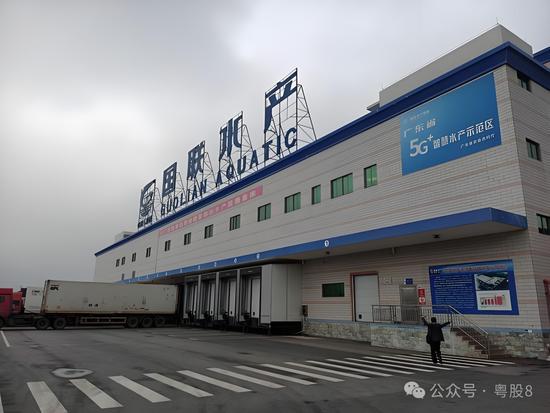 小龙虾热度减退，国联水产终止“水产品扩建”募投项目