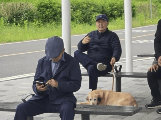 尹錫悅被拍到在公園“悠閑遛狗”：一只狗和三名安保