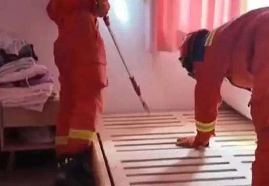 宠物蛇窜出罐子逃跑 女子求助消防 惊险一幕引发关注