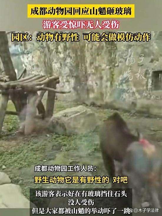 成都动物园回应山魈砸玻璃 安全隐患引关注