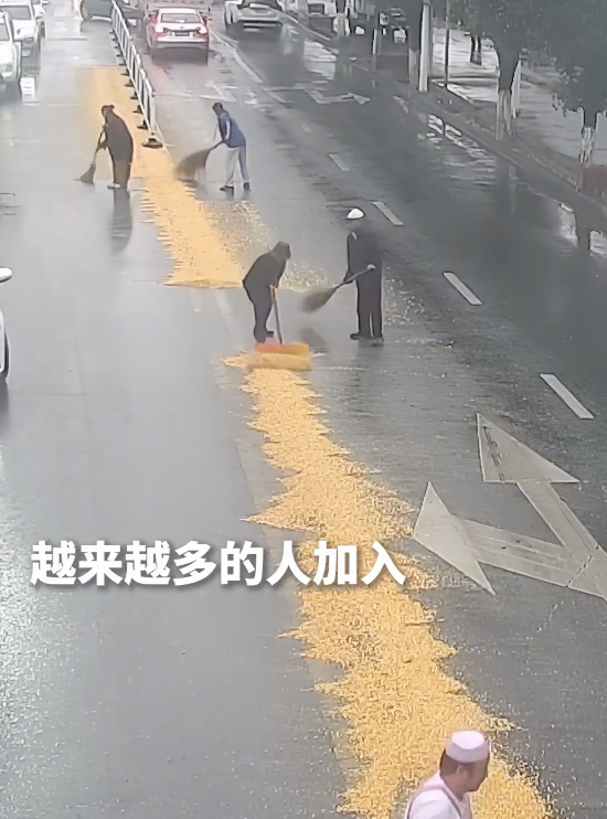 货车掉落玉米粒众人纷纷帮忙