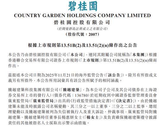 国家快讯：杨惠妍因腾跃建设信息披露违规被警告