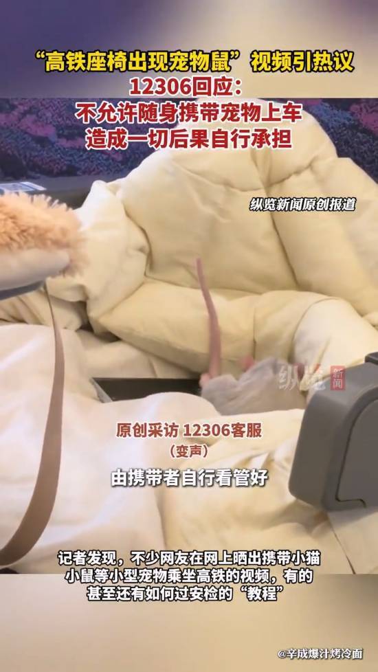12306回應(yīng)“寵物鼠被帶上高鐵”