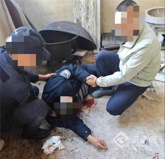 民警行动中坠楼，缉毒犬苦守半年 忠诚等待主人归队