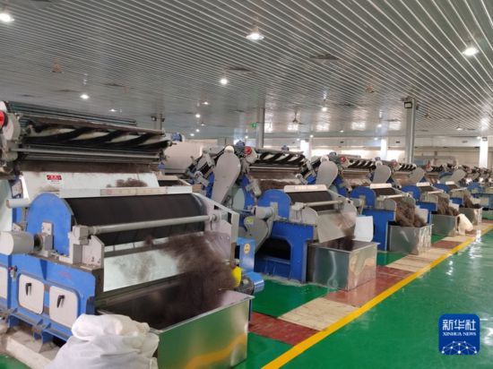 高原产品上“云”端——西藏电商发展一线观察