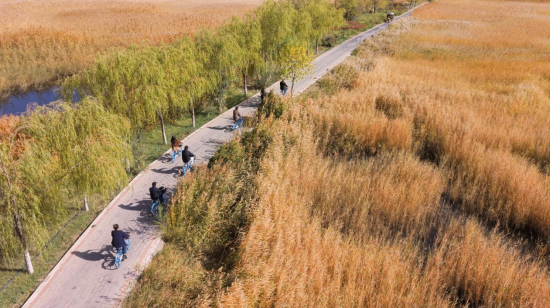 以笔墨行走山河 以丹青铸就史诗——“走遍中国”写生创作行动甘肃段圆满收官
