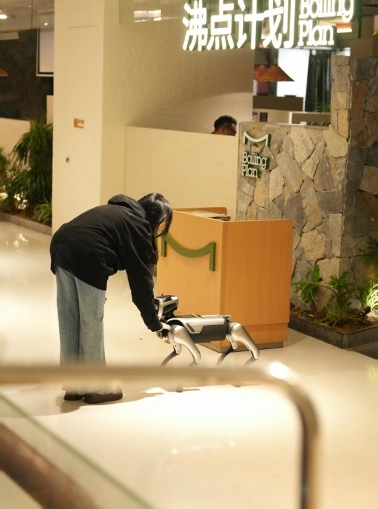 明星夜探、AI迎宾与万店无餍：“沸点筹备”如何再行界说餐饮增长范式？