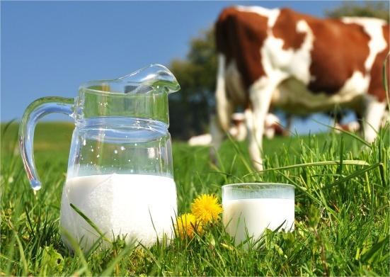 a2牛奶公司营收增长，上调全财年预期