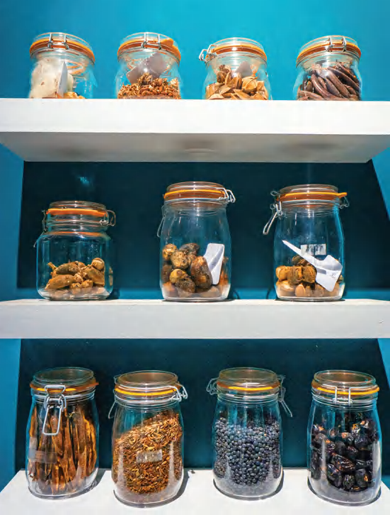 在这里，读懂两会 种子背后的科研价值