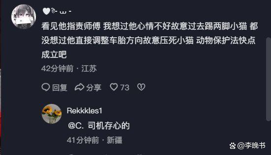 車主2次調(diào)整方向碾壓洗車店內(nèi)貓咪 為富不仁行為引眾怒