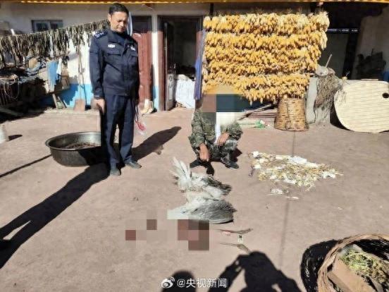 看见一只大鸟在河边栖息！男子杀害黑颈鹤烹食被拘