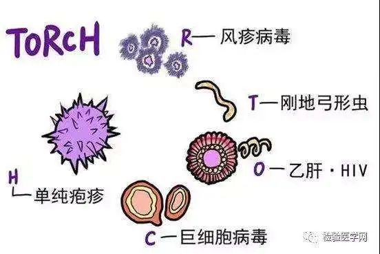 男女同居前，有哪些检查是一定要做的？