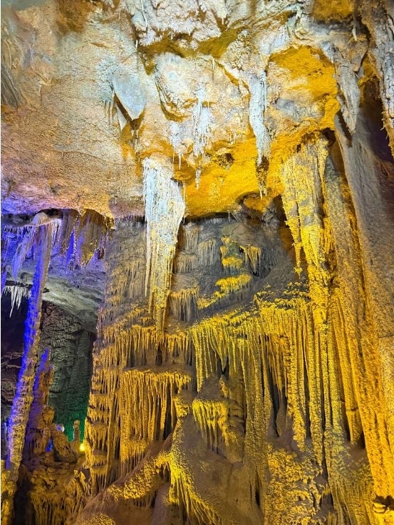 青禾绿行实践团赴巴马水晶宫开展“青山纪行”社会实践