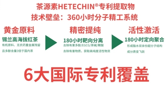 茶源素HETECHIN®:以药物级标准重新定义茶提取物,开启精准健康新纪元