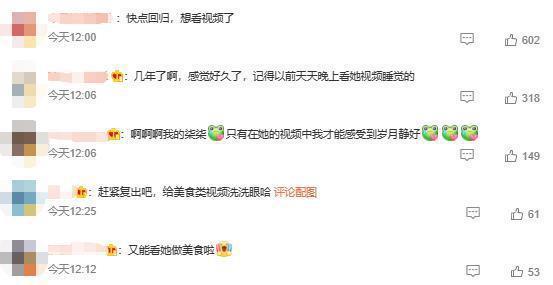 李子柒即将复出,与微念继续合作 网友呼吁快点回归