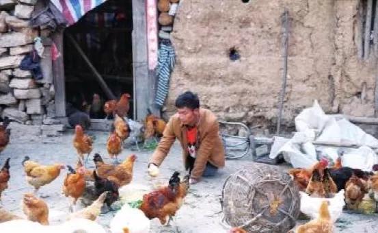 殘疾男子腎衰竭捐1萬顆雞蛋給貴州 點(diǎn)亮希望之光