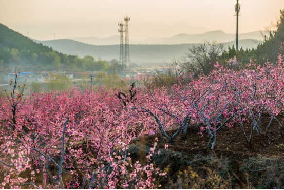 2025最具幸福感城市揭曉 山東四城上榜