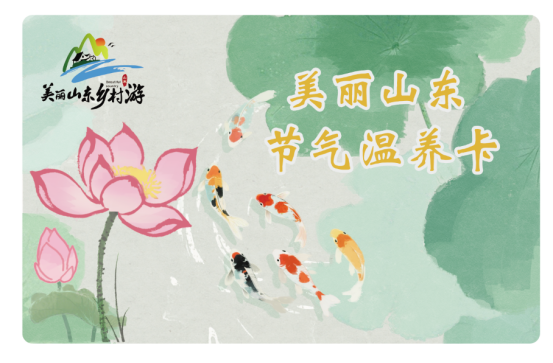 顺时而养 以文兴农——山东首发“美丽山东·节气温养卡”