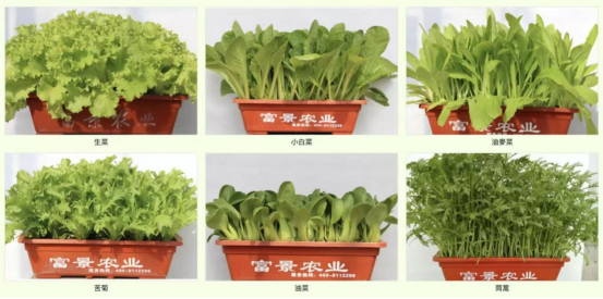 富景中国控股披露内控审查结果:2800万元抵押担保未及时信披,已落实补救措施