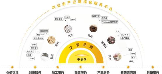 卓尔智联上半年营收利润双增背后：数字化与全球化双引擎驱动的供应链变革