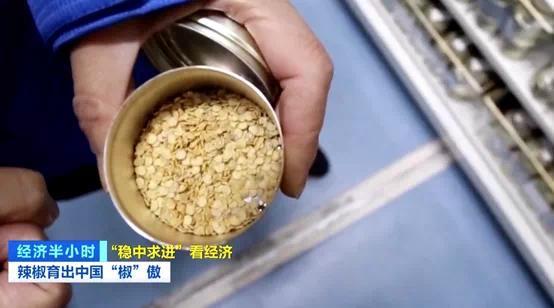 辣椒一斤卖300元？！你吃过吗？