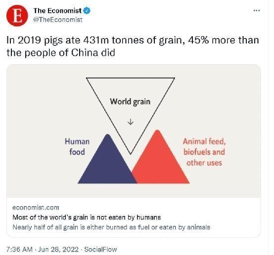 称猪比中国人吃得多后 经济学人删推