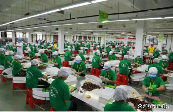 与砒霜同级的致癌物有1亿国人在嚼 千亿产业背后的健康危机