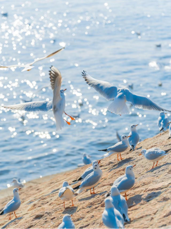 2025最具幸福感城市揭曉 山東四城上榜