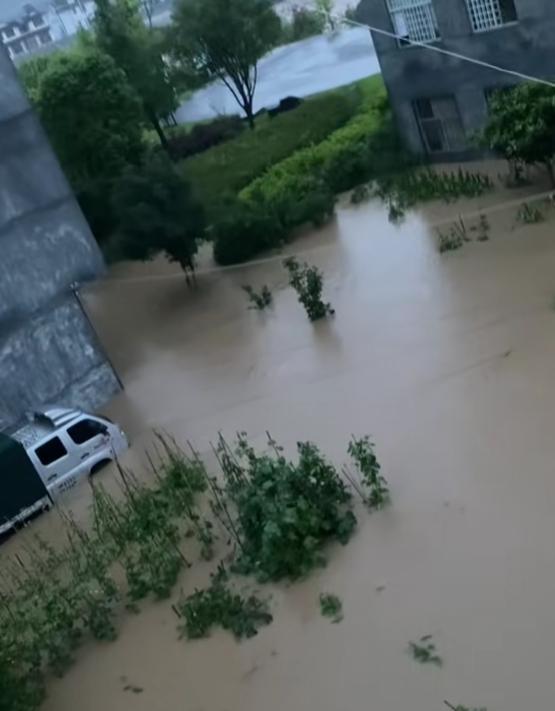 湖南一学生游泳赶考 暴雨中逐梦前行