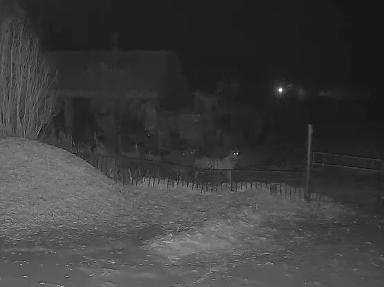 农民们的监控摄像头拍到了野生东北虎在自家院外游荡的画面，老虎的踪迹在密