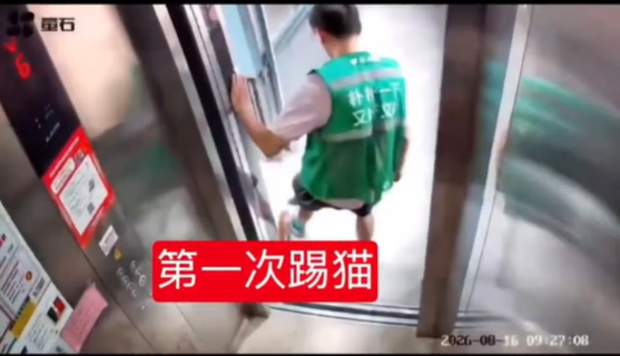 朴朴涉嫌虐猫配送员被辞退 公司坚决抵制伤害动物行为