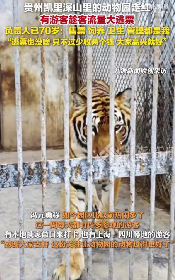 贵州深山动物园门票十年未涨 一人守护引来八方客