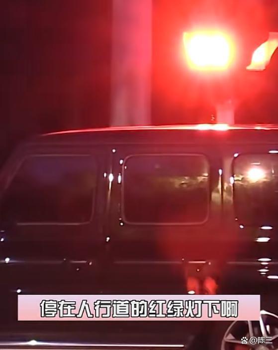 曝袁姗姗违规停车 遛狗温情难掩违章事实
