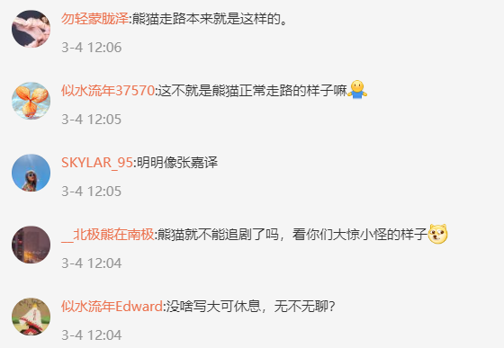 大熊猫走姿神似狂飙高启盛