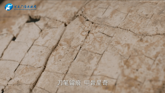 清澈的愛 只為中國 ｜字煥新生