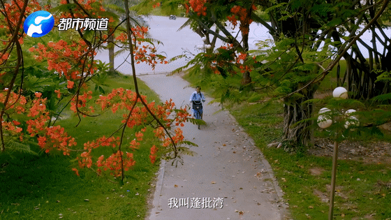《總書記的回信》老撾篇