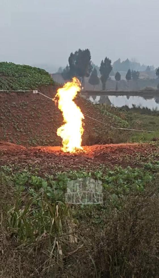 当地回应菜地明火非天然气泄漏 正进行现场检测