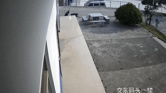 25岁海警牺牲前一天刚递交结婚申请