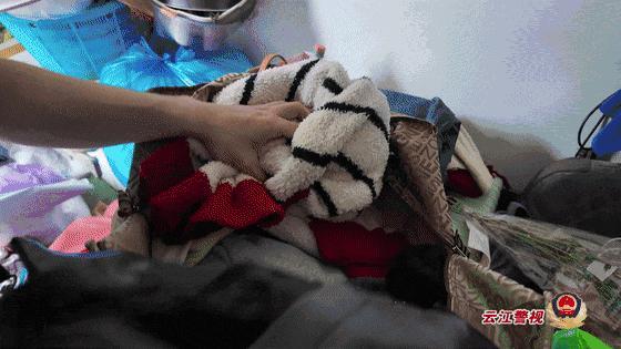 仅退款“薅羊毛”70余次被刑拘 女子贪念致诈骗罪