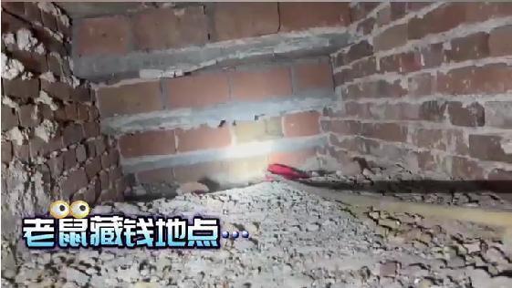 老鼠偷走大爺萬(wàn)元現(xiàn)金 真相令人哭笑不得