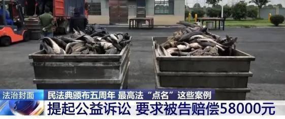 女子為祈福放生外來鲇魚被罰 盲目放生引生態(tài)危機(jī)