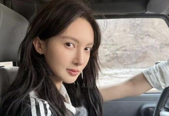 保障公司调监控才发现是金晨开车 涉嫌闯祸潜逃激励热议