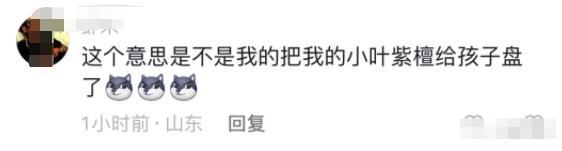 陆毅两个女儿爱上盘手串担心影响他们学习 全国家长：家有同款