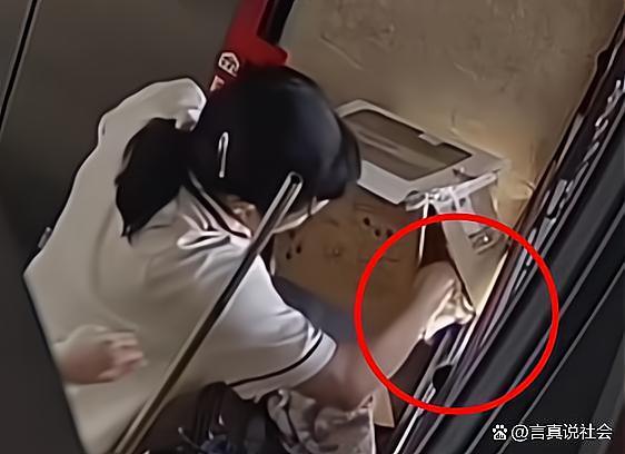 保洁从十楼扔下猫咪  太残忍！扔下去还说猫没事